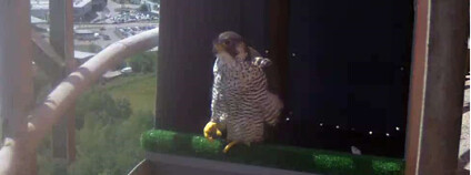 foto: Zdeněk Zuntych