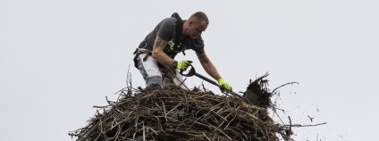 foto:  Bohumil Mášek / DESOP - Záchranná stanice živočichů