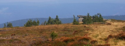 Jeseníky Foto: Vratislav Vozník / Hnutí DUHA