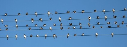 foto: Juandev / Wikimedia Commons