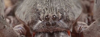 foto: nukerat / Flickr