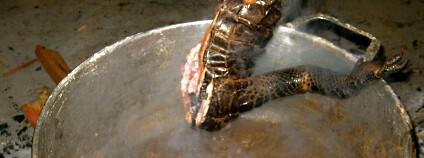 Foto: Corinne Staley / Flickr