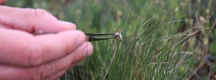 Foto:  Ondřej Nitsch / Agentura ochrany přírody a krajiny