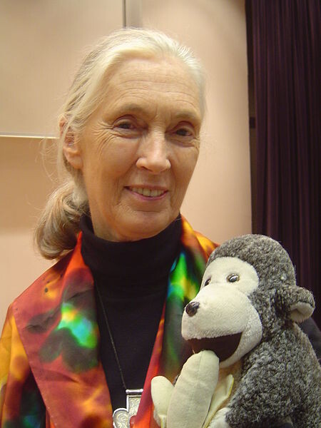 Zákonodárci budou dnes přehlasovávat prezidentské veto. Jane Goodallová je žádá, aby novelu schválili.