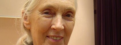 Foto: Jeekc / Wikimedia Commons