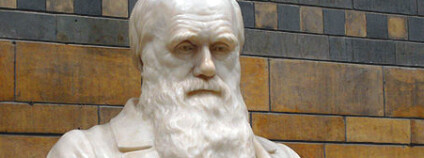Charles Darwin. Foto: Patche99z / Wikimedia commons