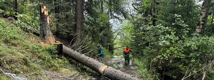 Následky větru a deště v Krkonoších Foto: Václav Jansa Správa KRNAP