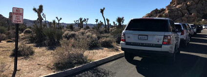 Foto: NPCA Photos / Flickr