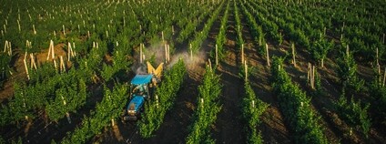 Zemědělství v Moldávii Foto: USAID Digital Development Flickr