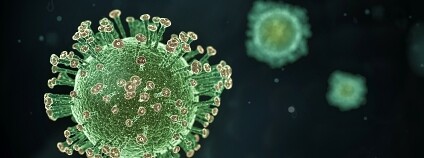 Ilustrace nového koronaviru. Foto:  Yuri Samoilov / Flickr