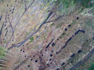 …vedou k poškozování svahů erozními rýhami a k jejich vysušování. Obnova bude velmi složitá.