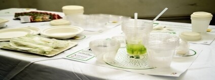 foto:  Petr Hamerník / Zoo Praha