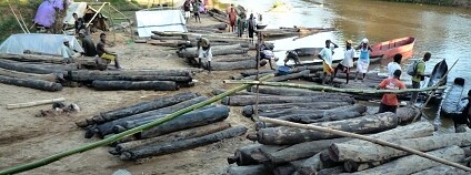 Foto: USAID Biodiversity &amp; Forestry / Flickr