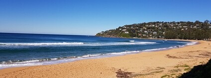 Palm Beach u Sydney Foto: Erick Opena Flickr