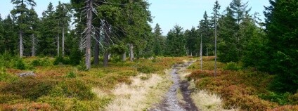 Obří stůl a židle na Lánském vrchu u Skorošic.