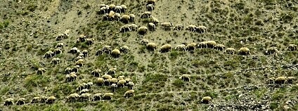 Foto: Jakub Kašpar / Správa KRNAP