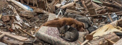 Foto: Oleksandr Ratushniak / UNDP Ukraine / Flickr