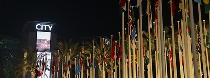 Vlajky na COP28 Foto: Ajuntament Barcelona Flickr