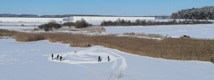 V rezervaci Nový Rybník u Líní vznikl základ oplocení hnízdního ostrůvku Foto: DES OP - Záchranná stanice živočichů Plzeň