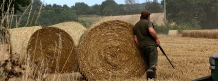 Foto: Evelyn Simak / Geograph