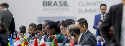 Foto: Ministry of Environment - Rwanda Flickr