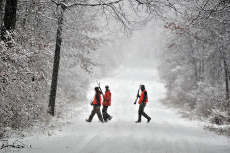 V oboře Obelisk jde podle Vlašína o lov. Ilustrační snímek.