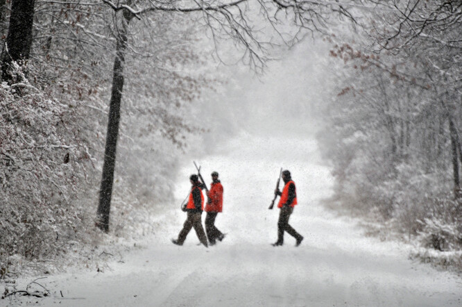 Zákaz dosud platí pouze pro okolí mokřadů a vzhledem k velkému odporu myslivců či rybářů se o návrhu dají v příštích měsících čekat dlouhé debaty.