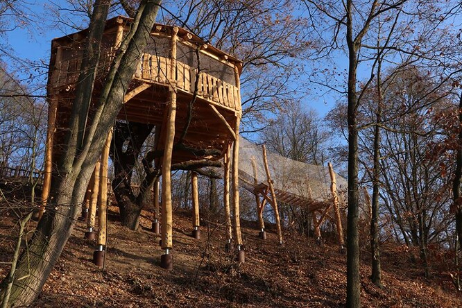 Plzeňská zoologická zahrada otevřela 23.4.2019 novou expozici, která přibližuje živočišná společenstva obývající starý strom. Kolem letitého rozložitého dubu, rostoucího v prudkém svahu, vyrobila z akátového dřeva ve výšce 6,5 metru stromový dům.