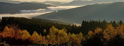 foto:  Čisté Beskydy / www.facebook.com