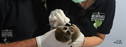 foto: zoo-ostrava.cz