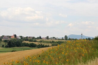 Sedlo od Blíževedel, statek rodiny Vodňanských. Zlatý držitel certifikátu Pestrá krajina za rok 2018.