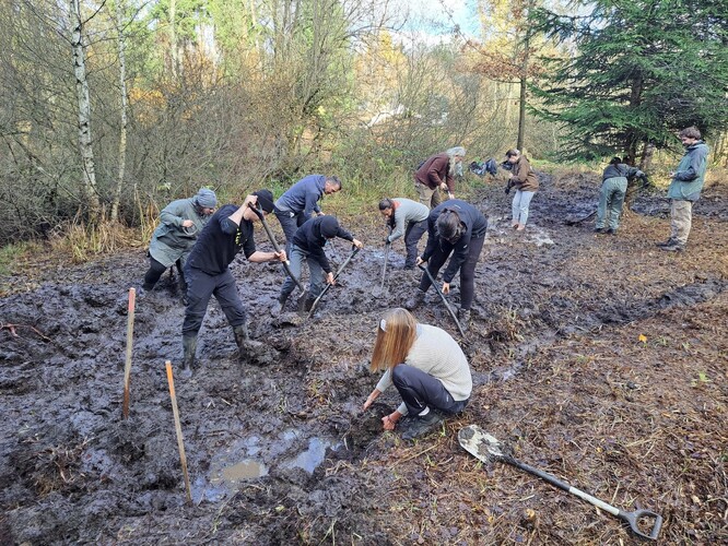 Na Skřivánku - dobrovolníci pomáhají s obnovou vodního režimu.