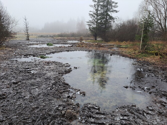 Na Skřivánku - obnova vodního režimu.