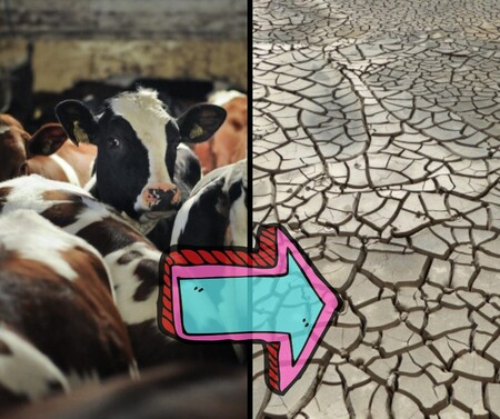 Aktivisté protestují u brněnského výstaviště proti podmínkám ve velkochovech hospodářských zvířat a intenzivnímu zemědělství. Protestovat budou celou dobu veletrhu Animal Tech a Národní výstavy hospodářských zvířat a myslivosti. / Ilustrační foto