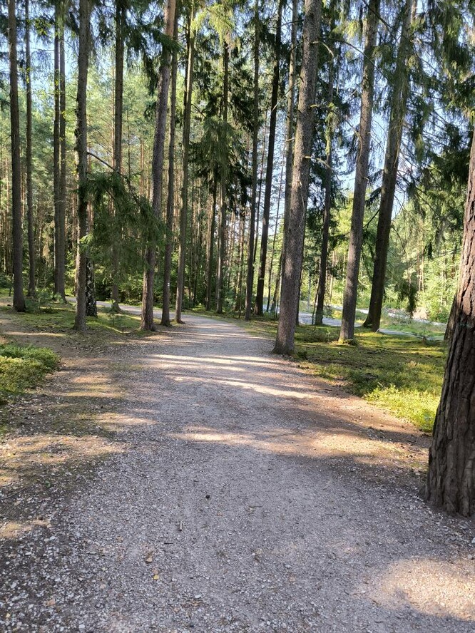 Fotodokumentace z 25. 8. 2025 - nezpevněná cesta využívaná jako cyklostezka, vede souběžně se stávající asfaltovou silnicí.