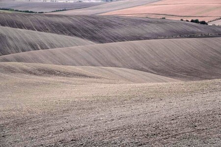Širé, suché lány.