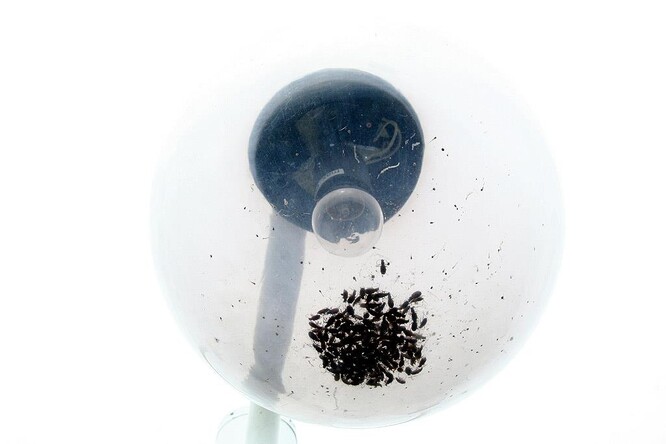 Ilustrační snímek.