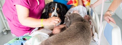 foto: Fakultní nemocnice Olomouc / facebook.com