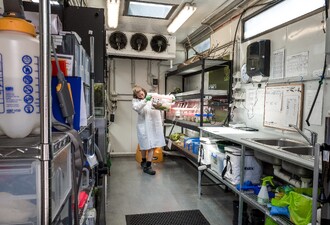 Paropucha corroboree v chovném zázemí Healesville Sanctuary.