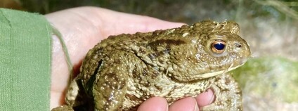 Foto: Tereza Müllerová