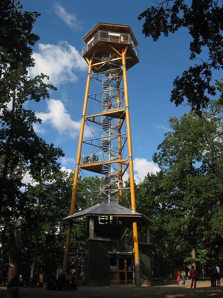 Trojboká rozhledna má tři nosné dřevěné sloupy o délce 30 metrů. Sestavené jsou z šestimetrových dílů. Průměr sloupu činí 40 centimetrů. Vyrobené jsou z lepeného soustruženého dřeva. "Toto dřevo strakapoudovi zní jako suchý strom a k tesání děr jej přitahuje," řekl Horák.