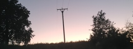 Foto: Záchranná stanice živočichů Plzeň