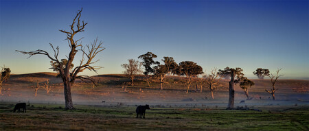 Snaha minimalizovat utrpení zvířat a zlepšit vlastní nemasitou stravou zdraví své i planety. To jsou jedny ze základních motivů, které vegetariány a vegany vedou ke konzumaci rostlin, raději než masa zatíženého proklamovanou lidskou krutostí. / Ilustrační foto