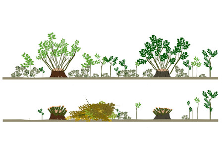 Letnina je hmota určená pro zkrmení hospodářskými zvířaty získaná vysečením porostu na pasekách a světlinách tvořeného ostružiníky, výmladky necílových dřevin, travinami, kapraďorosty apod.