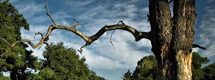 Foto: Jiří Klváček / Naše příroda