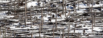 Foto: Karol Kaliský