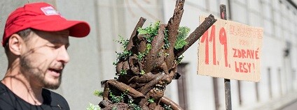 foto: Hnutí Duha / facebook.com