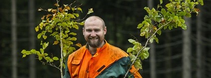 Sázení stromků v KRNAP