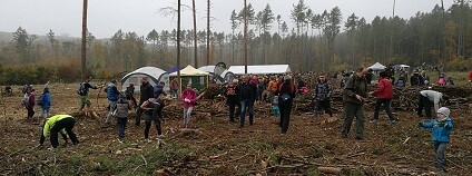 foto: Lesy České republiky / facebook.com