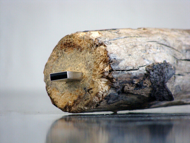 1GB Memorystick Vladimíra Turnera